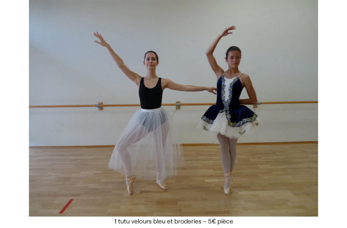 1 tutu velours bleu et broderies – 5€ (pièce) copie