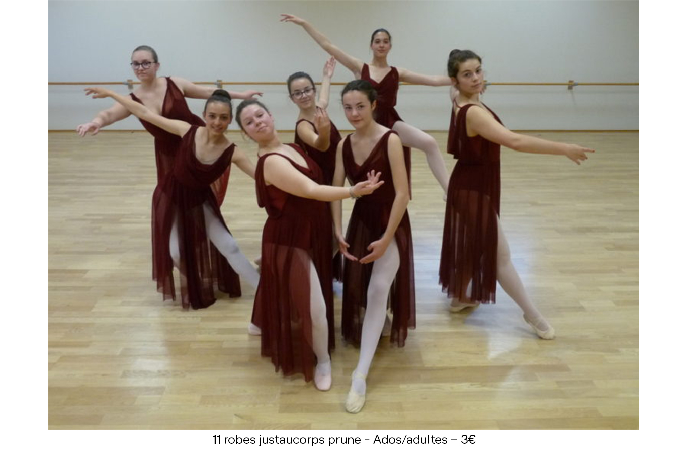 11 robes justaucorps prune Ados:adultes – 3.00€ copie