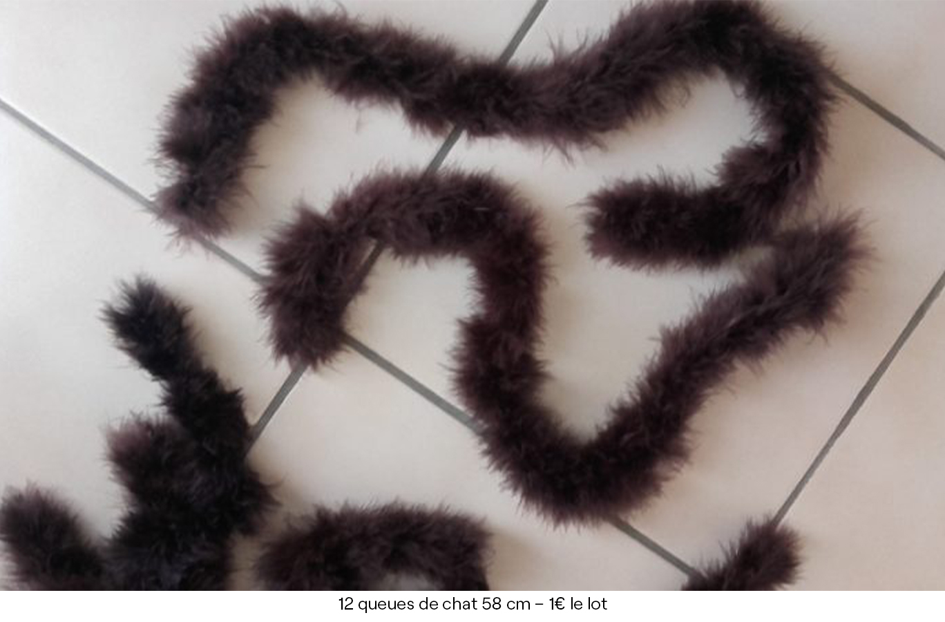 12 queues de chat 58 cm – 1€ le lot copie