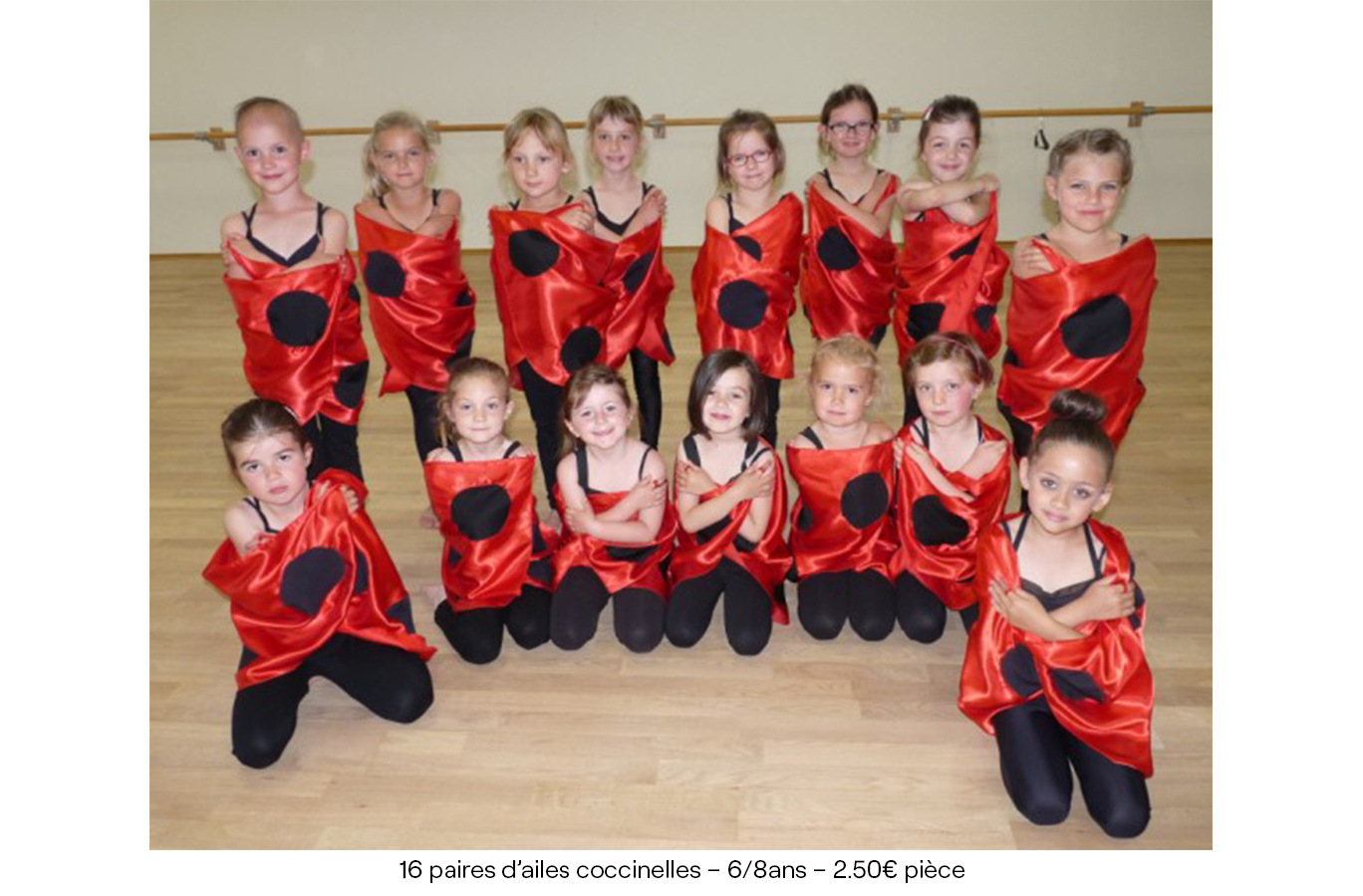 16 paires d’ailes coccinelles – 6:8ans – 2€50 pièce copie
