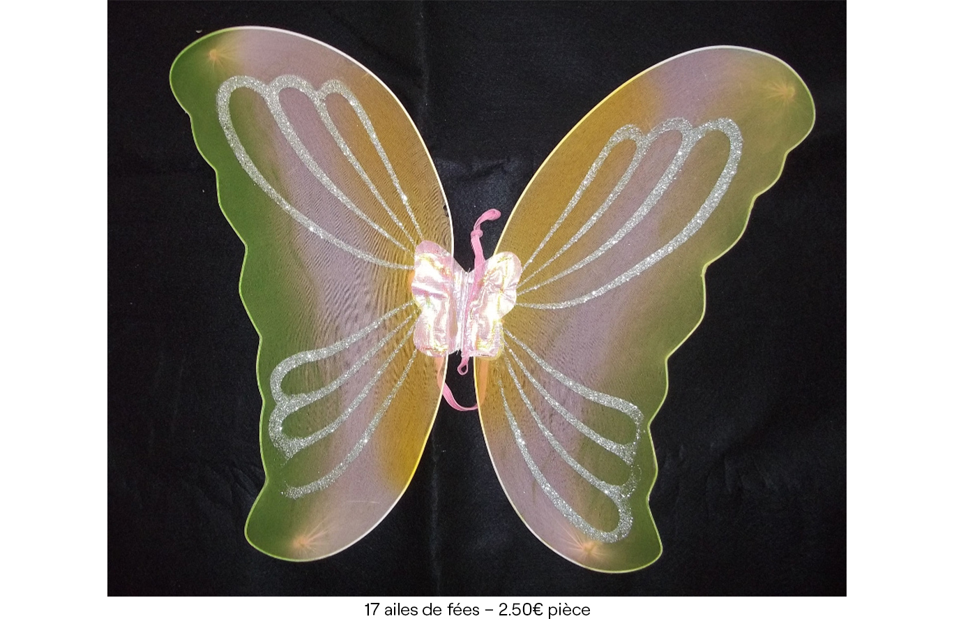 17 ailes de fées – 2€50 pièce copie