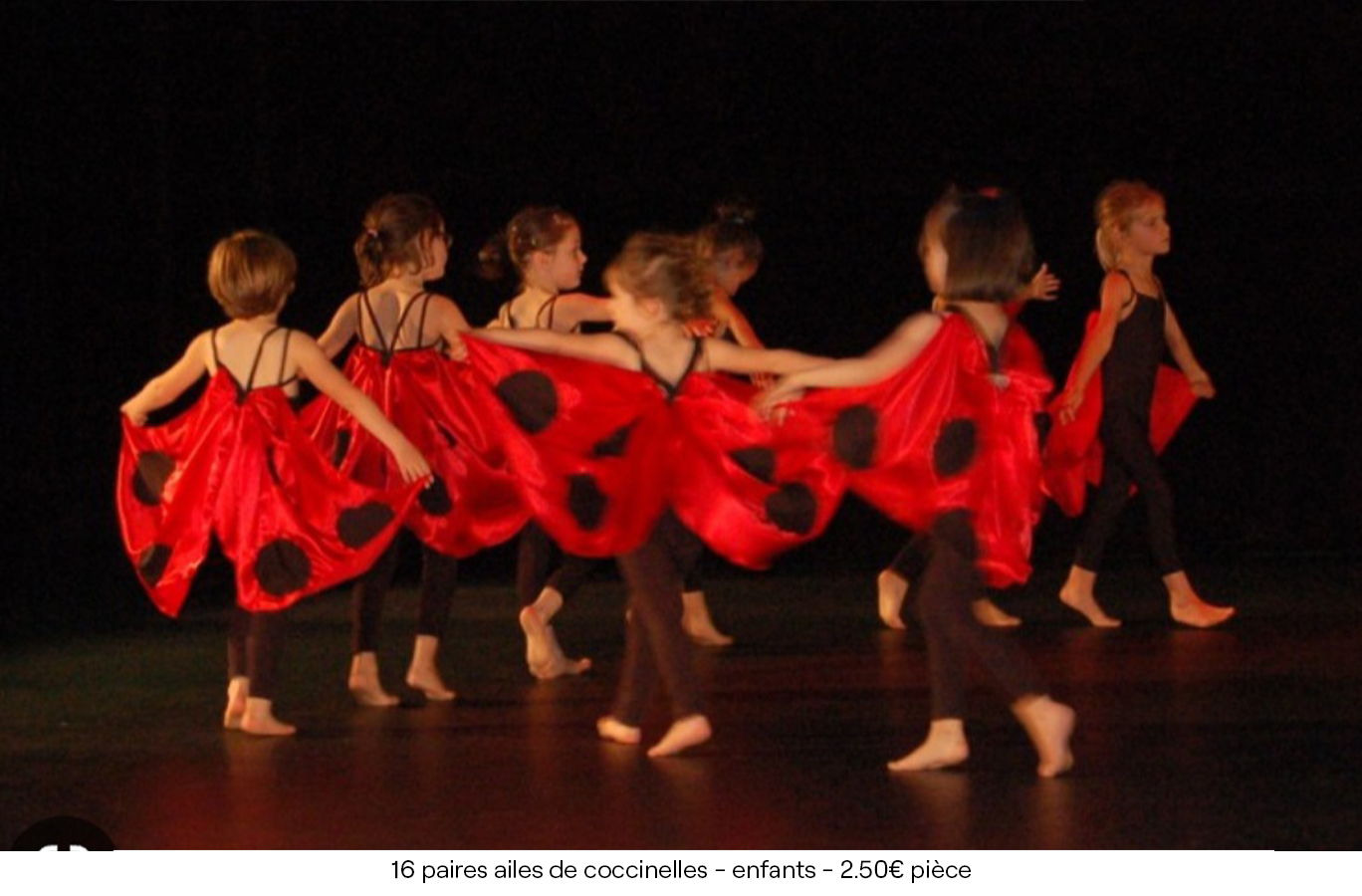 16 paires ailes de coccinelles enfants - 2.50€ pièce