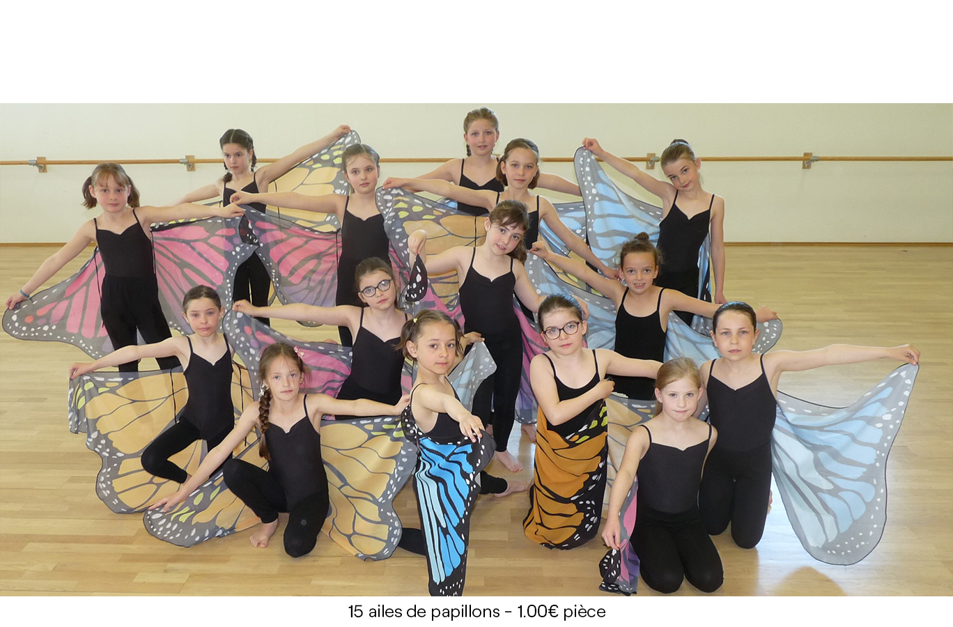 15 ailes de papillons -1.00€ pièce