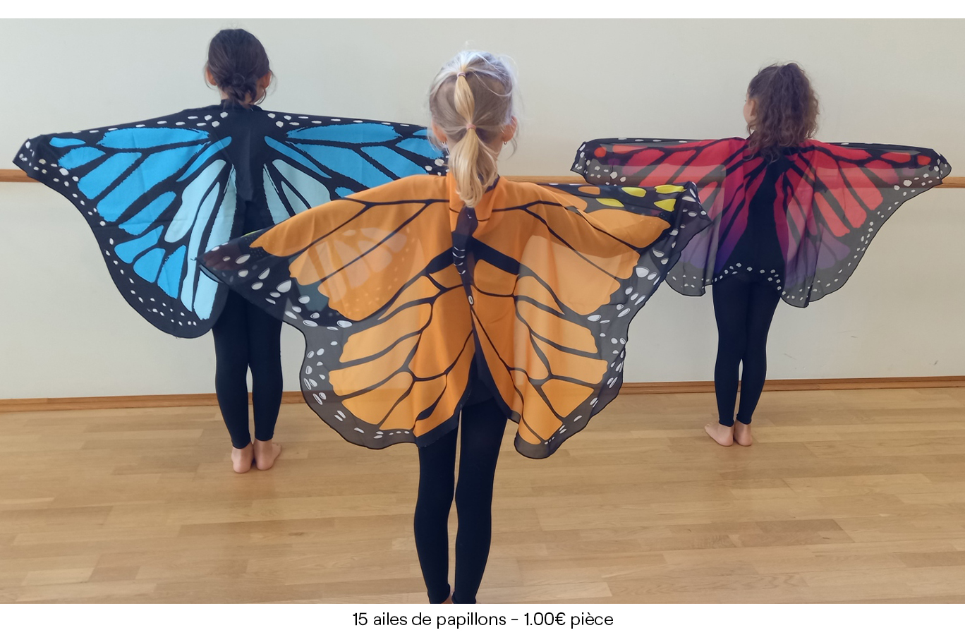 15 ailes de papillons' - 1.00€ pièce
